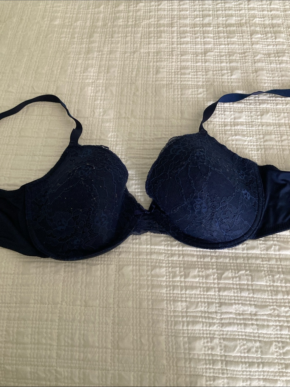Laura Ashley Navy Lace Underwire Bra